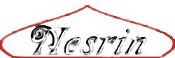 Bauchtanz- Aachen Logo